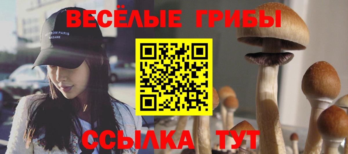 Миллерово  где найти   Псилоцибиновые грибы ЛСД  Вход с VPN  Галлюциногенные грибы ЛСД 
